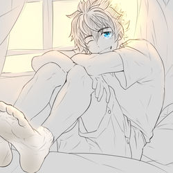 This is a pixiv picture whose title is 查理曼的汗臭白袜.