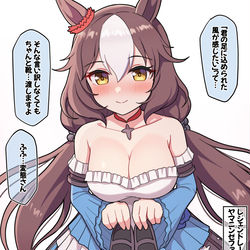 This is a pixiv picture whose title is レジェンドレースの後：ヤマニンゼファー.