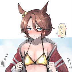 This is a pixiv picture whose title is ナリタタイシン 水着.