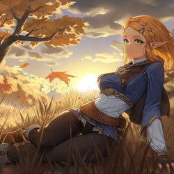 This is a pixiv picture whose title is Princess Zelda.