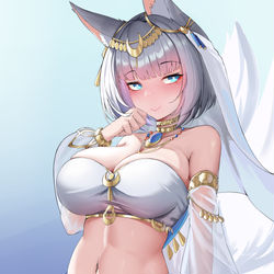 This is a pixiv picture whose title is 加贺.