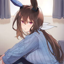 This is a pixiv picture whose title is アドマイヤベガ.