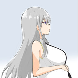 This is a pixiv picture whose title is エンタープライズ/Enterprise.