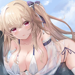 This is a pixiv picture whose title is 水着アンカレッジ.