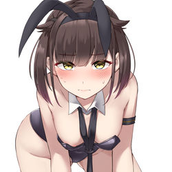 This is a pixiv picture whose title is 最近の秋月型～.