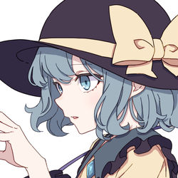 This is a pixiv picture whose title is こいし.