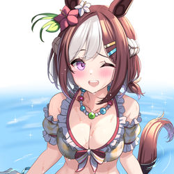 This is a pixiv picture whose title is スペちゃん.