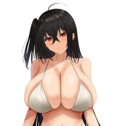 This is a pixiv picture whose title is 水着大鳳.