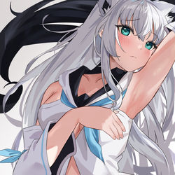 This is a pixiv picture whose title is ロング白上.