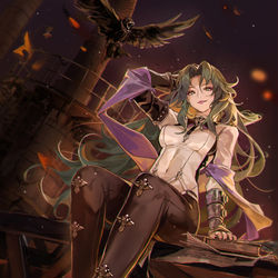 This is a pixiv picture whose title is Raven.