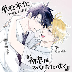 This is a pixiv picture whose title is 「初恋はひなたに咲く」単行本化決定しました！.