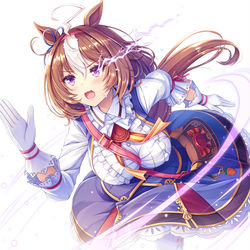 This is a pixiv picture whose title is メイショウドトウ.