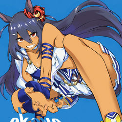 This is a pixiv picture whose title is ヒシアマゾン.