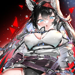 This is a pixiv picture whose title is ブレイズ.