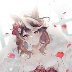 This is a pixiv picture whose title is ウェディングルドルフ.