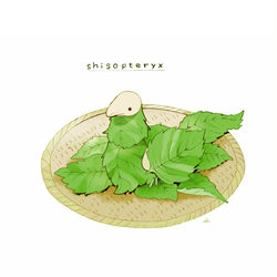 This is a pixiv picture whose title is シソチョウ.