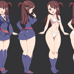 This is a pixiv picture whose title is アッコ (commission).