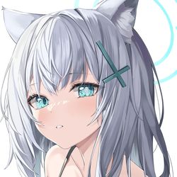 This is a pixiv picture whose title is 砂狼シロコ.