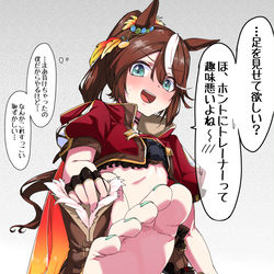 This is a pixiv picture whose title is レジェンドレース後のトウカイテイオー.