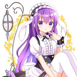 This is a pixiv picture whose title is フルールリゼちゃん。.