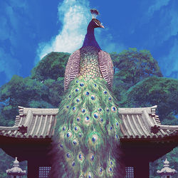 This is a pixiv picture whose title is 千里眼.