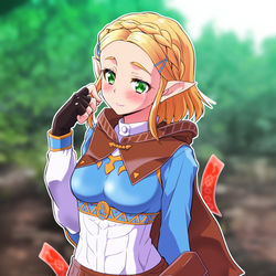 This is a pixiv picture whose title is 【これはゼルダ姫（♀）ですか？　いいえゼルダ姫（♂）です】.