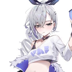 This is a pixiv picture whose title is silverwolf.