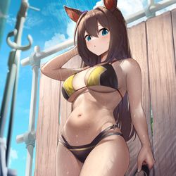 This is a pixiv picture whose title is エル.