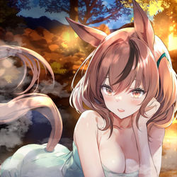 This is a pixiv picture whose title is 温泉ネイチャ.