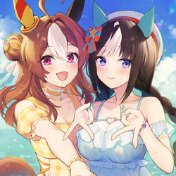 This is a pixiv picture whose title is コパノリッキー＆ホッコータルマエ.