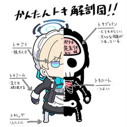 This is a pixiv picture whose title is 大解剖図.