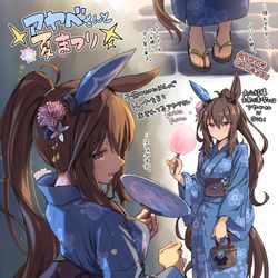 This is a pixiv picture whose title is アドマイヤベガ.