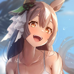 This is a pixiv picture whose title is サトノダイヤモンド.