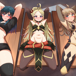 This is a pixiv picture whose title is (com) FE Girls.