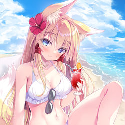 This is a pixiv picture whose title is ビーチバカンス.