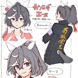 This is a pixiv picture whose title is エース🅰️.
