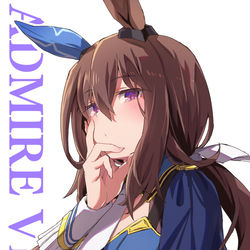 This is a pixiv picture whose title is アドマイヤベガ.
