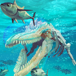 This is a pixiv picture whose title is 画餅に帰する.