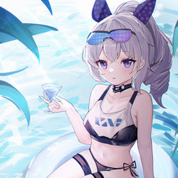 This is a pixiv picture whose title is 银狼.