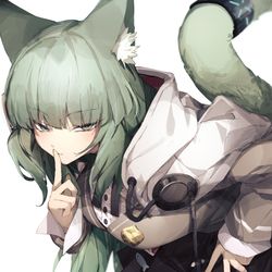 This is a pixiv picture whose title is 🤫.