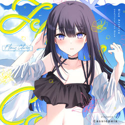 This is a pixiv picture whose title is 【C102新刊】fleurs colorées.
