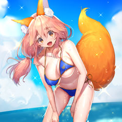 This is a pixiv picture whose title is 【FGO】水着玉藻ちゃん【C102】.