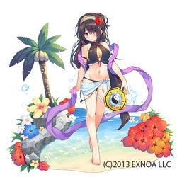 This is a pixiv picture whose title is 朱夏花の風水士リンネ.
