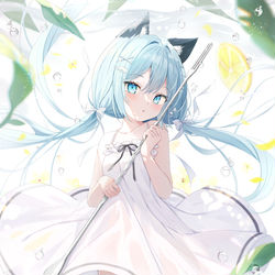 This is a pixiv picture whose title is 冷やし猫レモン🍋🐈.