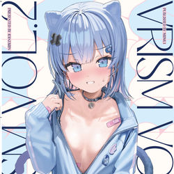 This is a pixiv picture whose title is 夏コミ新刊！ヴイリズムvol.2.