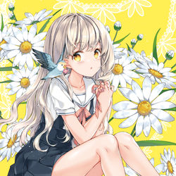 This is a pixiv picture whose title is 小鳥.