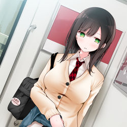 This is a pixiv picture whose title is 通勤電車でぱんつを見せてくるJKちゃん.