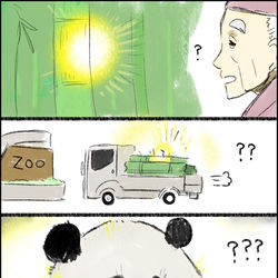 This is a pixiv picture whose title is 竹取ジャイアントパンダ物語.