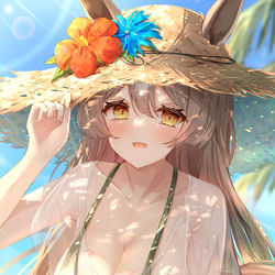 This is a pixiv picture whose title is 【C102告知】水着ダイヤちゃん！.