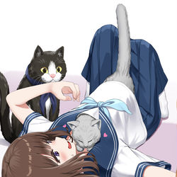 This is a pixiv picture whose title is 猫まみれ.